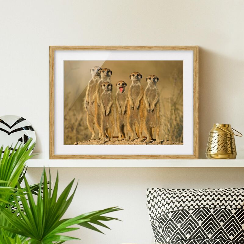 

Póster enmarcado - Meerkat Family Dimensión LxA: 30cm x 40cm, Marco: Roble
