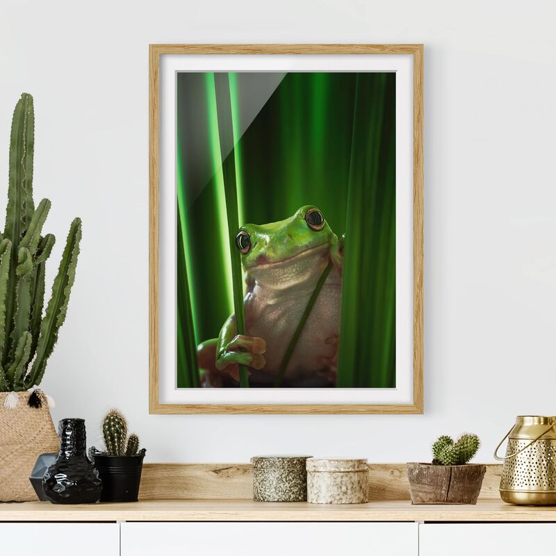 

Póster enmarcado - Merry Frog Dimensión LxA: 70cm x 50cm, Marco: Roble