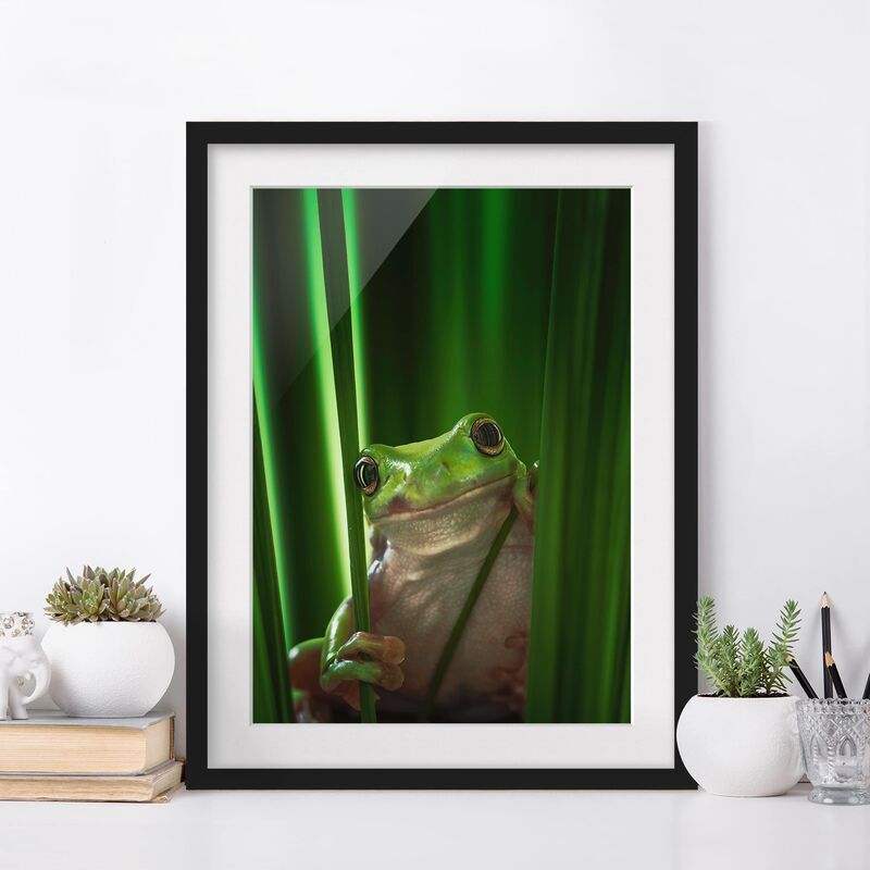

Póster enmarcado - Merry Frog Dimensión LxA: 24cm x 18cm, Marco: Negro