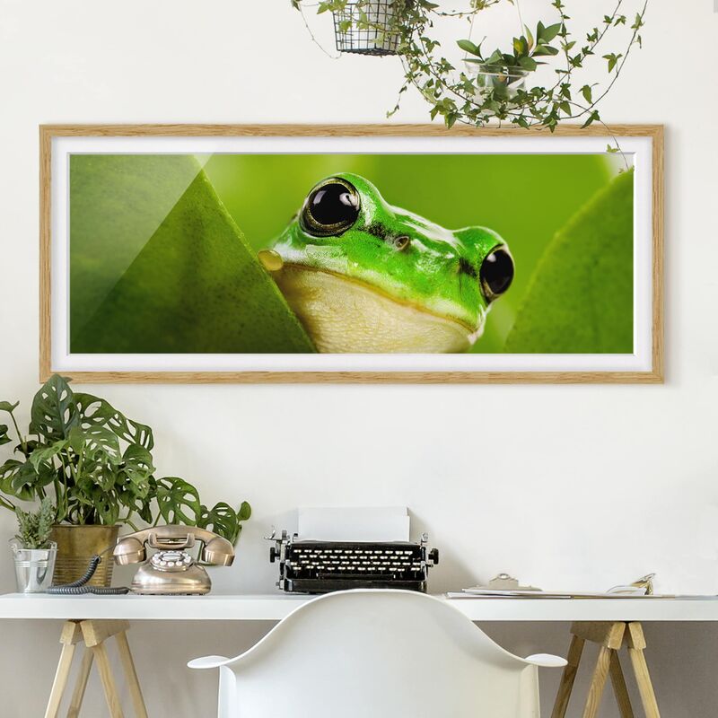

Póster enmarcado - Meteorologo Dimensión LxA: 30cm x 75cm, Marco: Roble