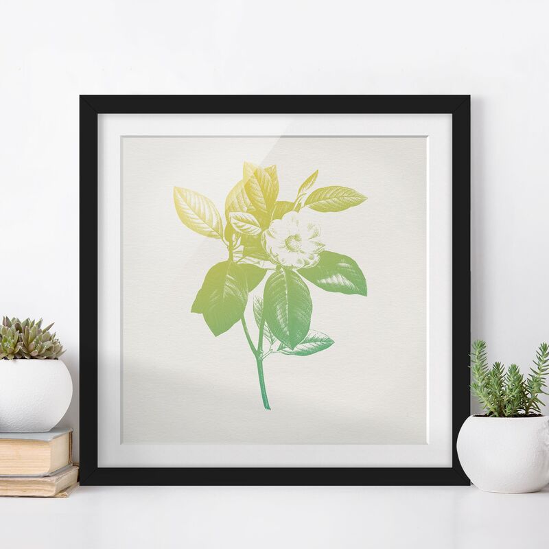 

Póster enmarcado - Moderna Vintage Botanica Fiore di ciliegio Verde Giallo Dimensión LxA: 70cm x 70cm, Marco: Negro