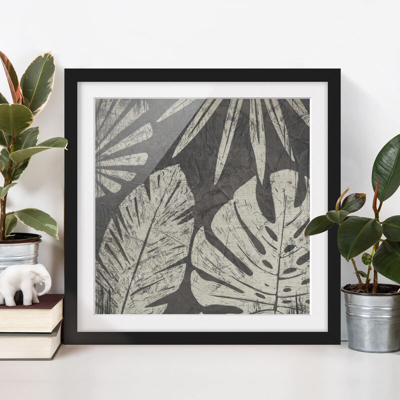 

Póster enmarcado - Palm Leaves In Front Of Dark Gray Dimensión LxA: 30cm x 30cm, Marco: Negro