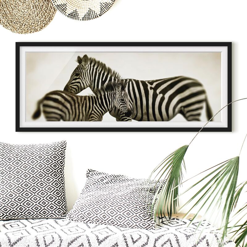 

Póster enmarcado - Paio Zebra Dimensión LxA: 40cm x 100cm, Marco: Negro