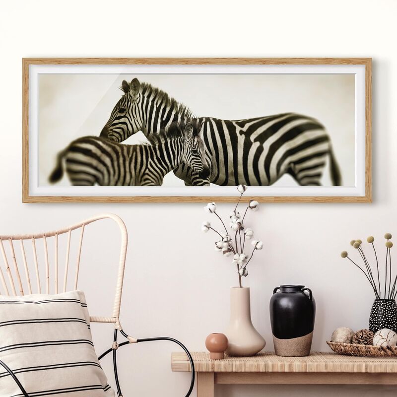 

Póster enmarcado - Paio Zebra Dimensión LxA: 40cm x 100cm, Marco: Roble