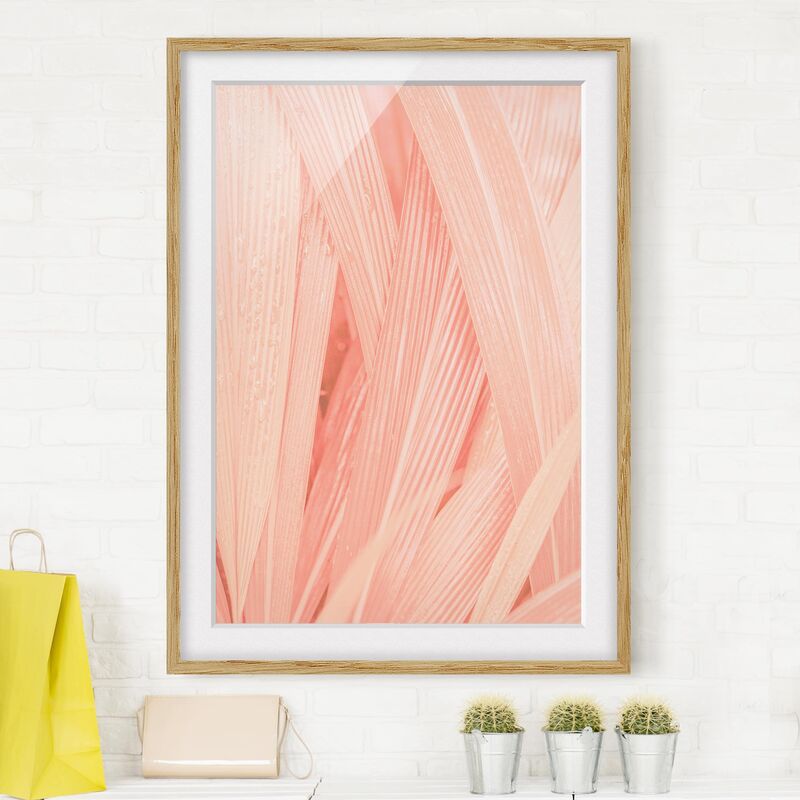 

Póster enmarcado - Palm Leaves Pink Dimensión LxA: 24cm x 18cm, Marco: Roble