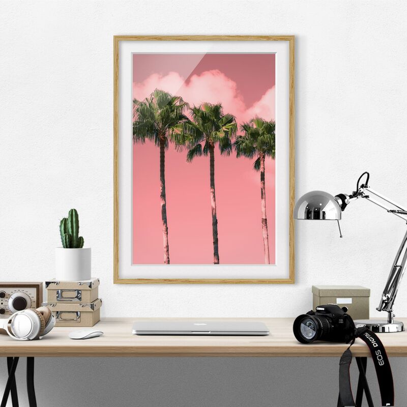 

Póster enmarcado - Palme di fronte a cielo Rosa Dimensión LxA: 40cm x 30cm, Marco: Roble