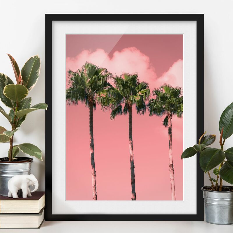 

Póster enmarcado - Palme di fronte a cielo Rosa Dimensión LxA: 70cm x 50cm, Marco: Negro