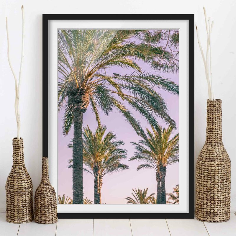 

Póster enmarcado - Palme Nel Tramonto Dimensión LxA: 55cm x 40cm, Marco: Negro