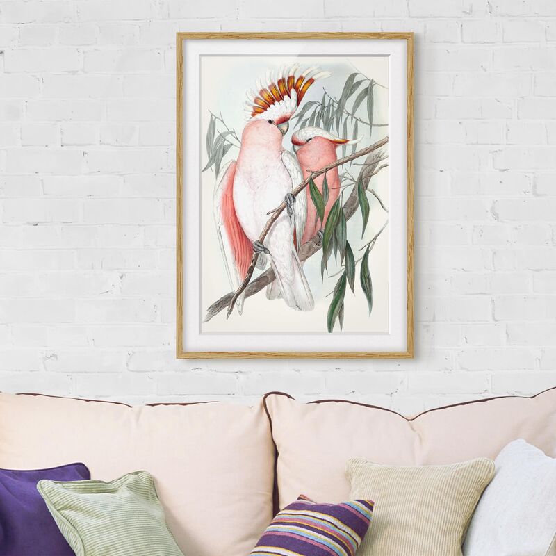 

Póster enmarcado - Pappagalli Pastello I Dimensión LxA: 40cm x 30cm, Marco: Roble