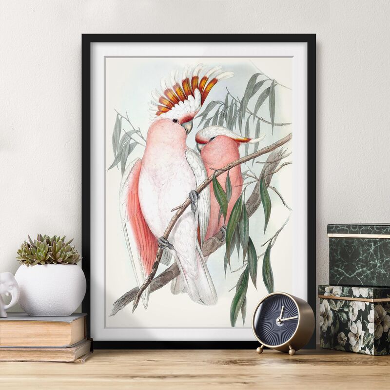 

Póster enmarcado - Pappagalli Pastello I Dimensión LxA: 70cm x 50cm, Marco: Negro