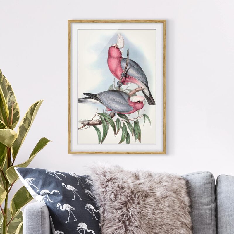 

Póster enmarcado - Pappagalli Pastello Ii Dimensión LxA: 100cm x 70cm, Marco: Roble