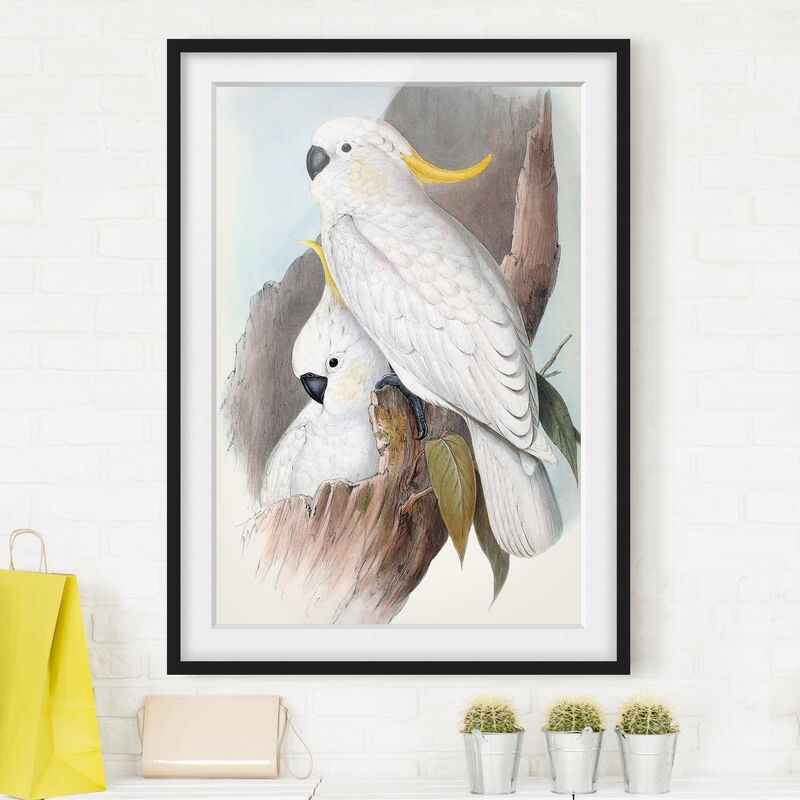 

Póster enmarcado - Pappagalli Pastello Iii Dimensión LxA: 55cm x 40cm, Marco: Negro
