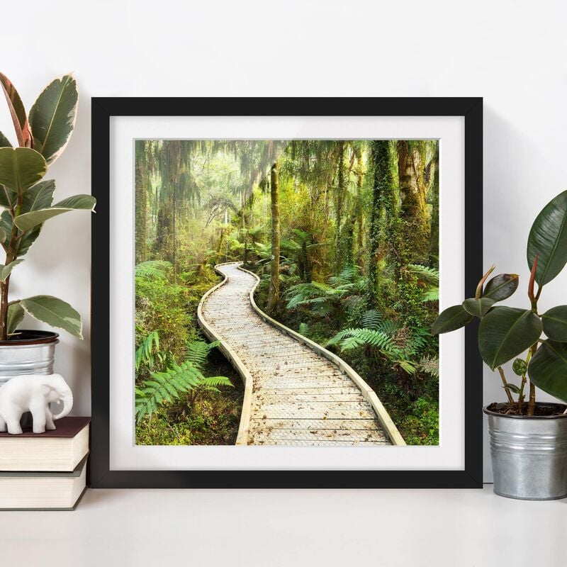 

Póster enmarcado - Path In The Jungle Dimensión LxA: 20cm x 20cm, Marco: Negro