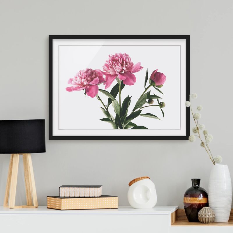 

Póster enmarcado - Germogli Su Bianco Rosa Fiori E Dimensión LxA: 30cm x 40cm, Marco: Negro