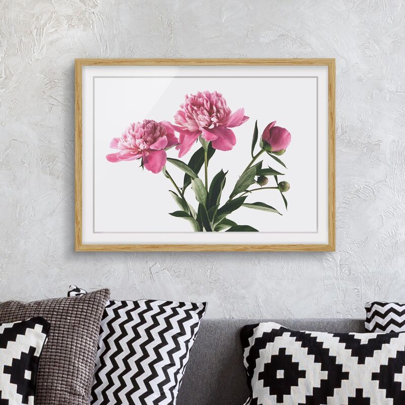 

Póster enmarcado - Germogli Su Bianco Rosa Fiori E Dimensión LxA: 30cm x 40cm, Marco: Roble