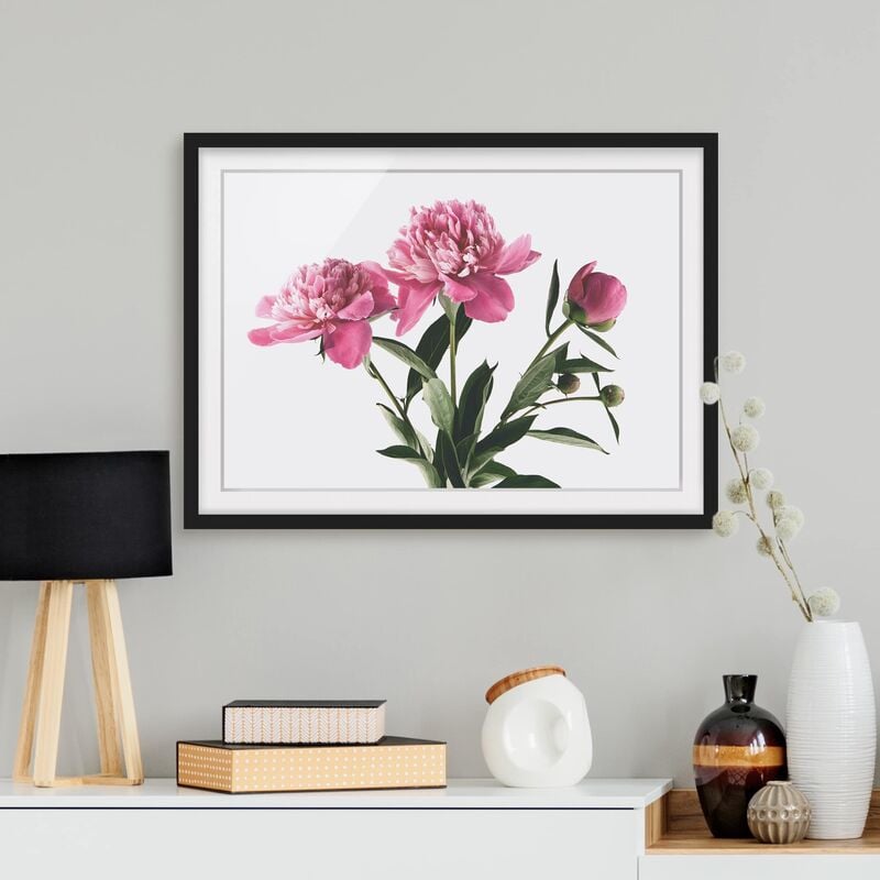 

Póster enmarcado - Germogli Su Bianco Rosa Fiori E Dimensión LxA: 70cm x 100cm, Marco: Negro