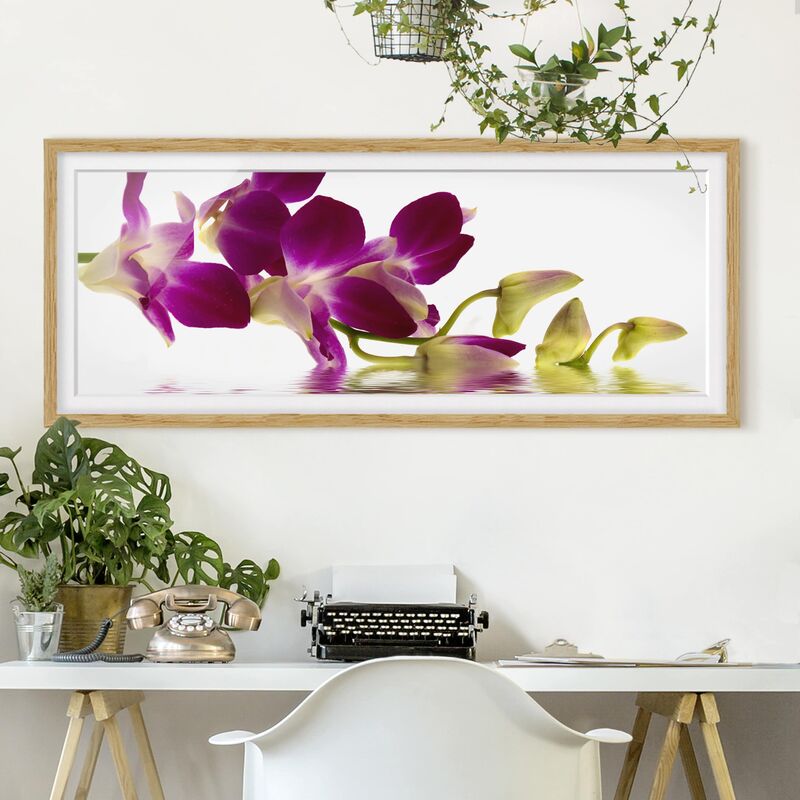 

Póster enmarcado - Pink Orchid Waters Dimensión LxA: 40cm x 100cm, Marco: Roble