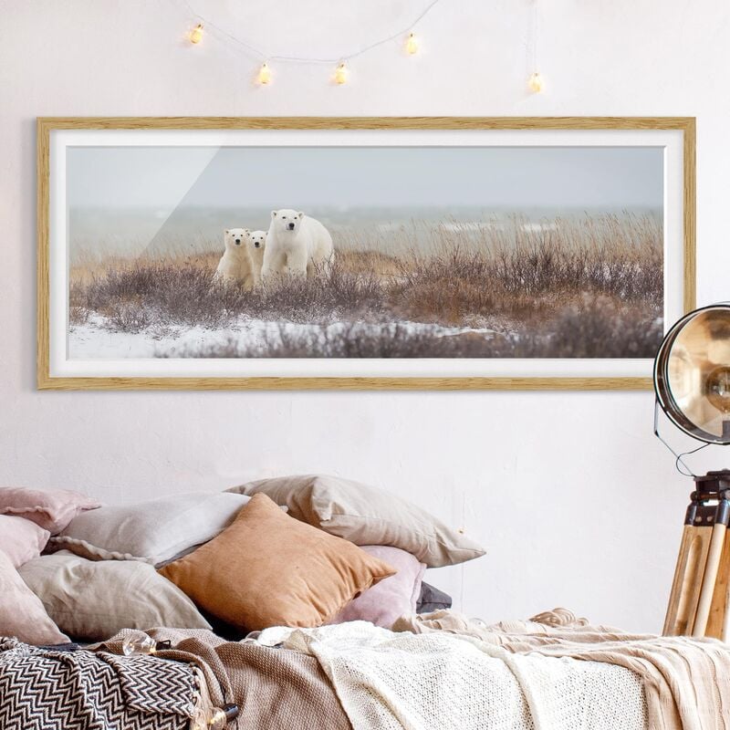 

Póster enmarcado - Orso polare e suoi cuccioli Dimensión LxA: 40cm x 100cm, Marco: Roble
