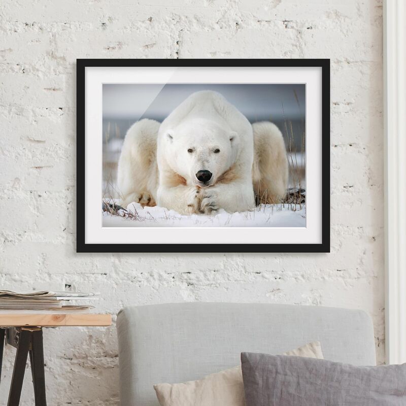 

Póster enmarcado - Orso polare Pensieroso Dimensión LxA: 30cm x 40cm, Marco: Negro