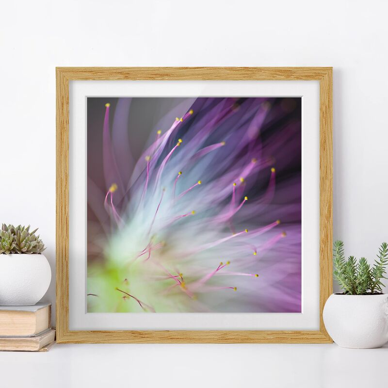 

Póster enmarcado - Pollen Dimensión LxA: 30cm x 30cm, Marco: Roble