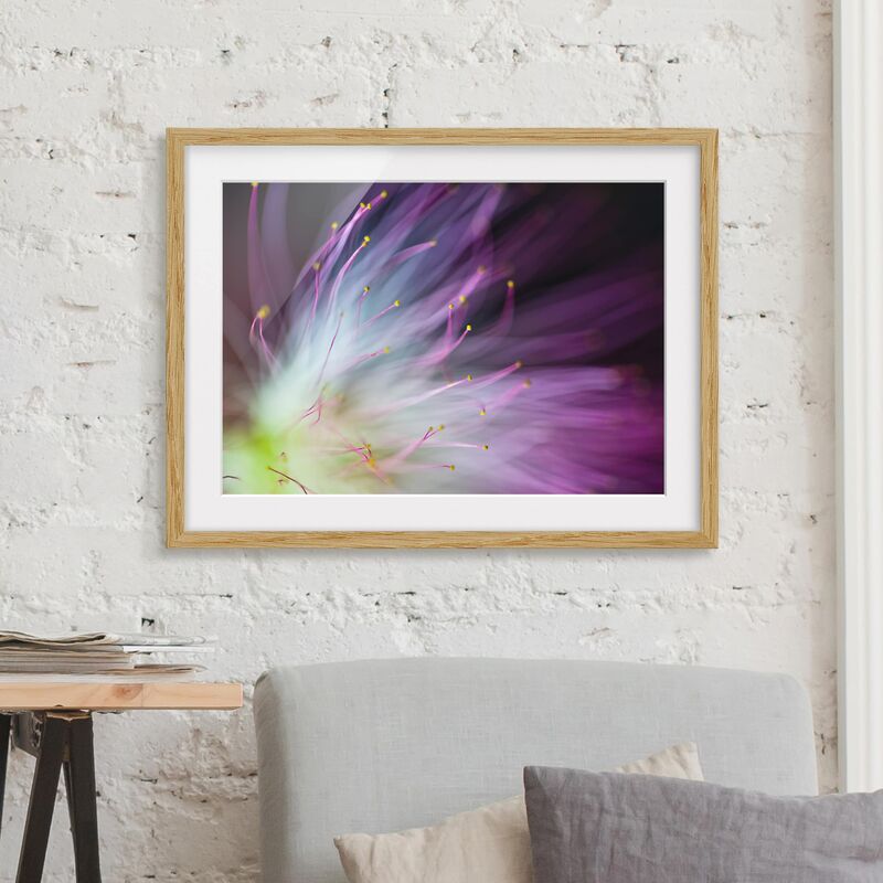 

Póster enmarcado - Pollen Dimensión LxA: 30cm x 40cm, Marco: Roble