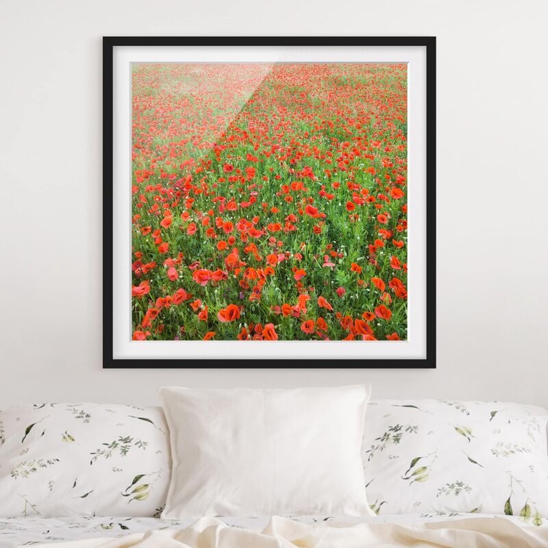 

Póster enmarcado - Poppy Field Dimensión LxA: 30cm x 30cm, Marco: Negro