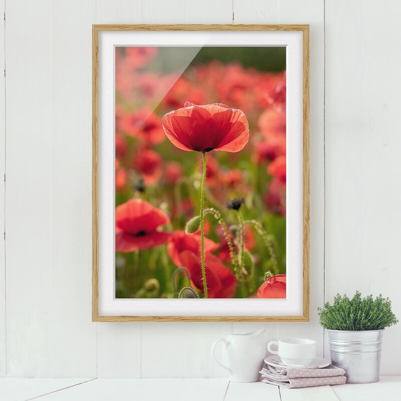 

Póster enmarcado - Poppy Field In Sunlight Dimensión LxA: 24cm x 18cm, Marco: Roble