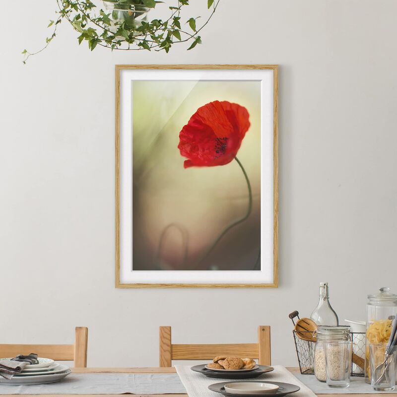 

Póster enmarcado - Poppy Flower In The Garden Dimensión LxA: 70cm x 50cm, Marco: Roble