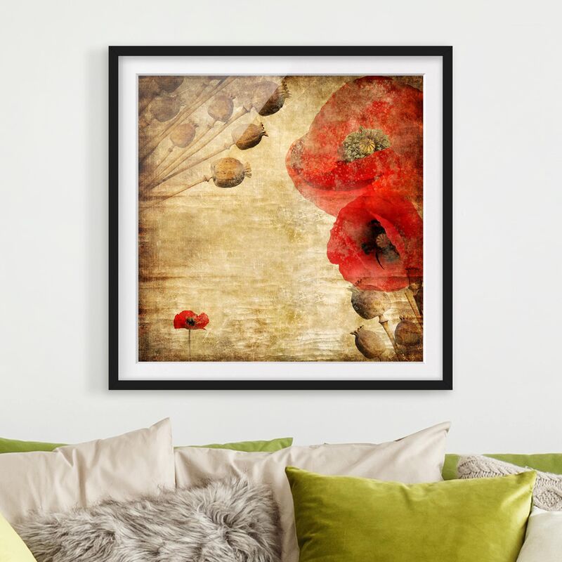 

Póster enmarcado - Poppy Flower Dimensión LxA: 70cm x 70cm, Marco: Negro