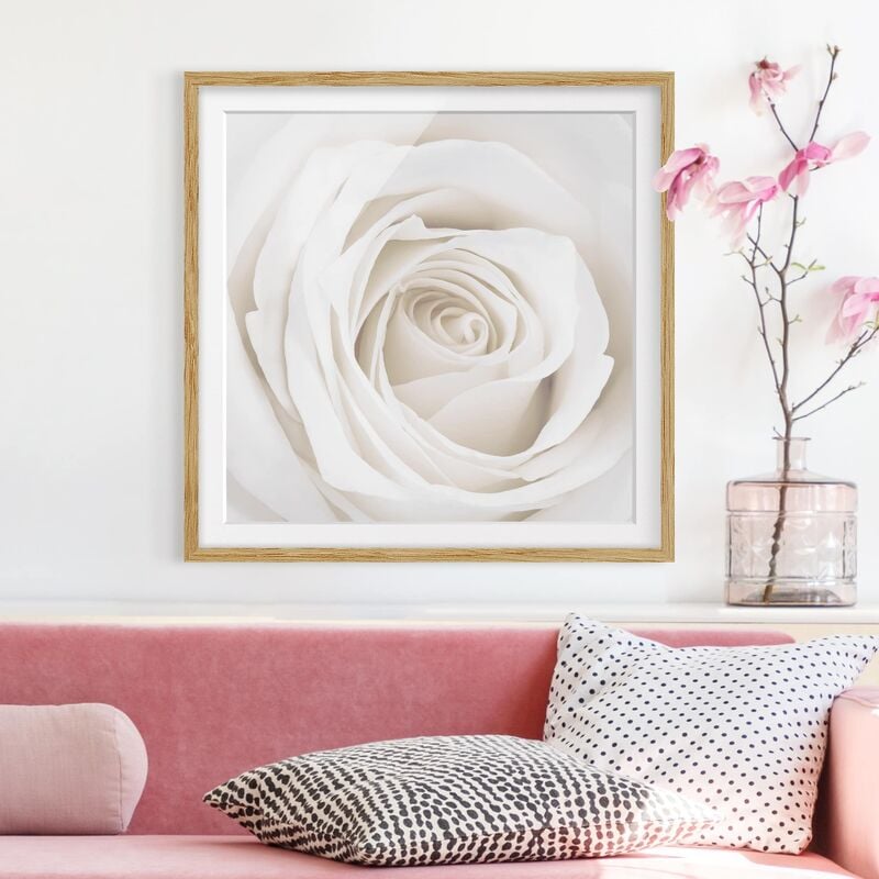 

Póster enmarcado - Pretty White Rose Dimensión LxA: 30cm x 30cm, Marco: Roble