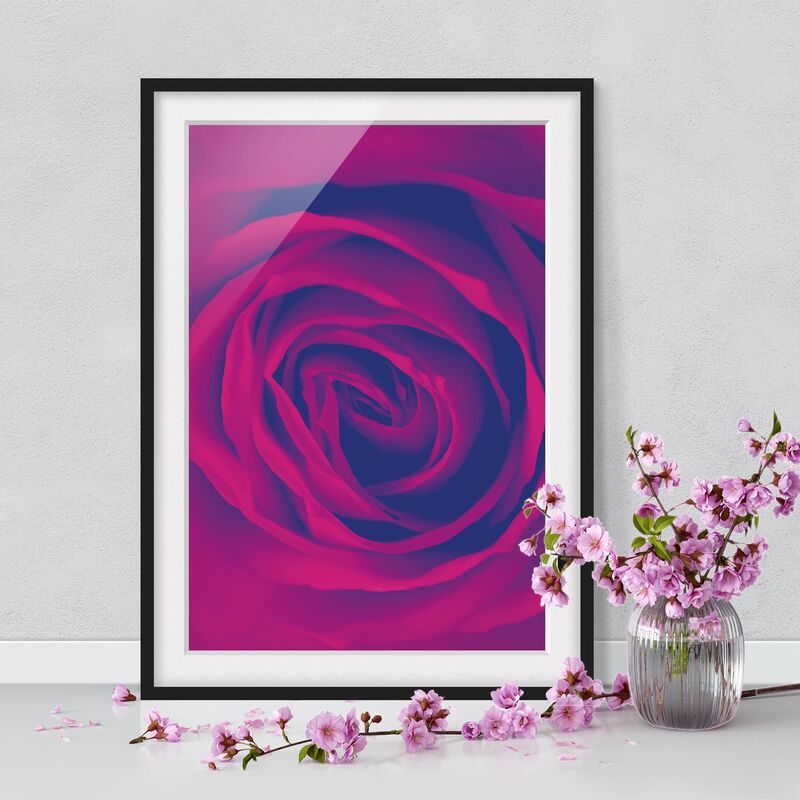 

Póster enmarcado - Purple Breeze Dimensión LxA: 55cm x 40cm, Marco: Negro