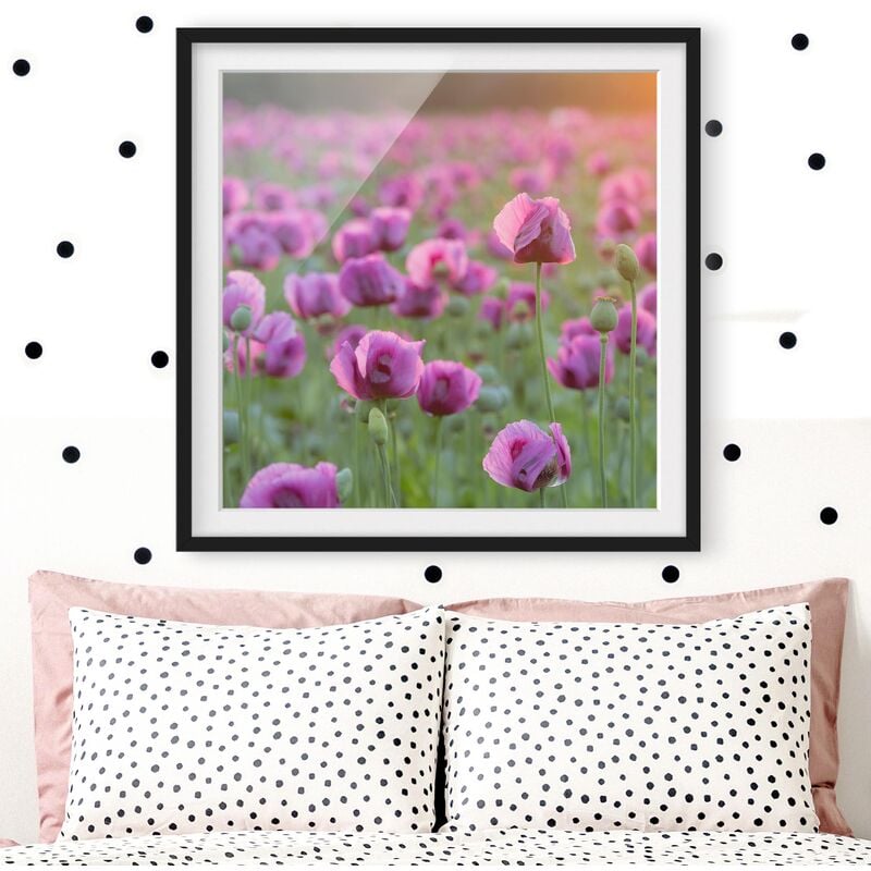 

Póster enmarcado - Purple Poppy Flower Meadow In Spring Dimensión LxA: 20cm x 20cm, Marco: Negro