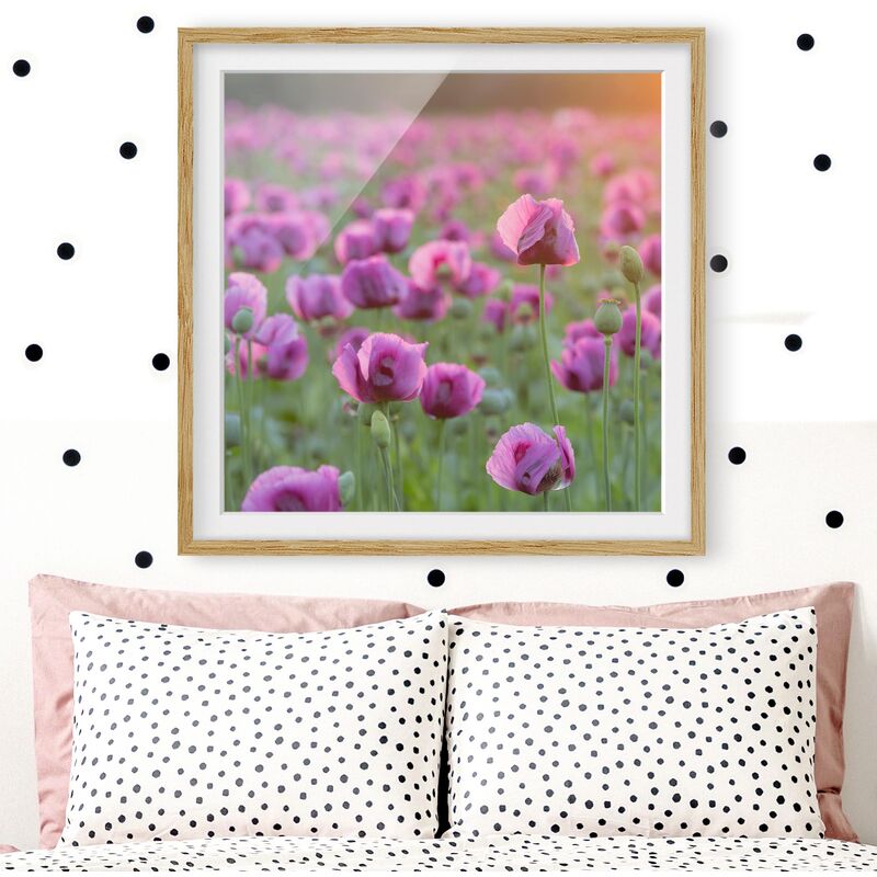 

Póster enmarcado - Purple Poppy Flower Meadow In Spring Dimensión LxA: 50cm x 50cm, Marco: Roble