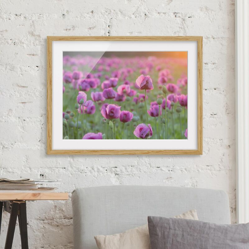 

Póster enmarcado - Purple Poppy Flower Meadow In Spring Dimensión LxA: 70cm x 100cm, Marco: Roble