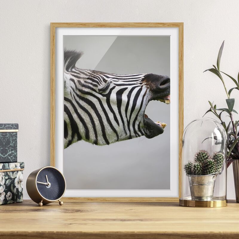 

Póster enmarcado - Rawling Zebra Dimensión LxA: 70cm x 50cm, Marco: Roble