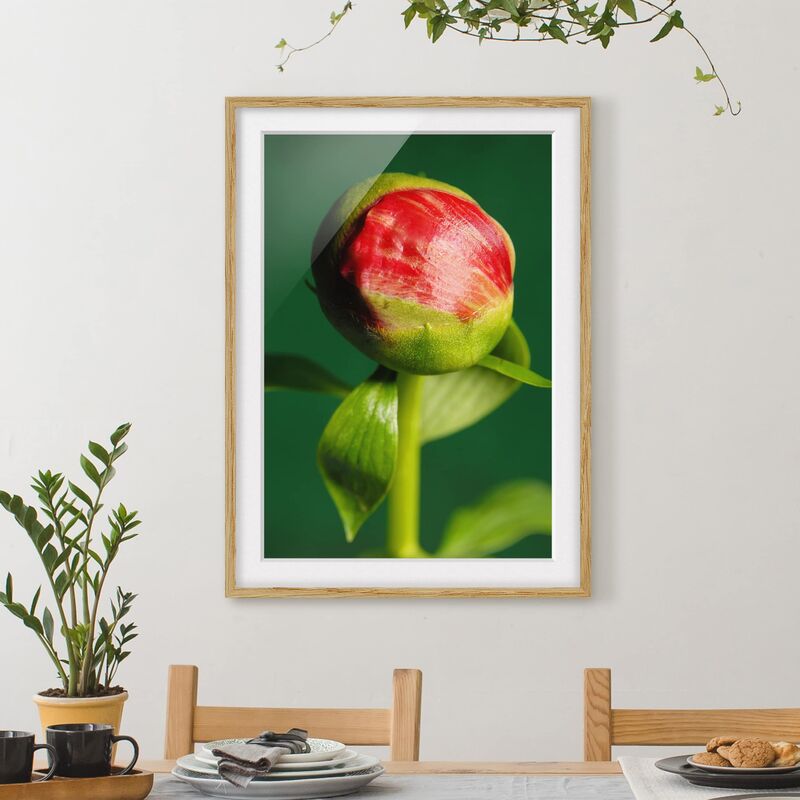 

Póster enmarcado - Red Peony I Dimensión LxA: 100cm x 70cm, Marco: Roble