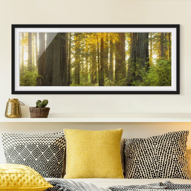 

Póster enmarcado - Redwood National Park Dimensión LxA: 40cm x 100cm, Marco: Negro