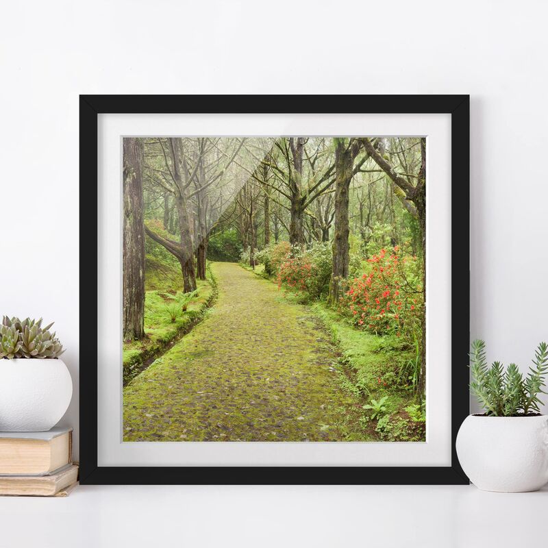 

Póster enmarcado - Road Clad In Moss Dimensión LxA: 50cm x 50cm, Marco: Negro