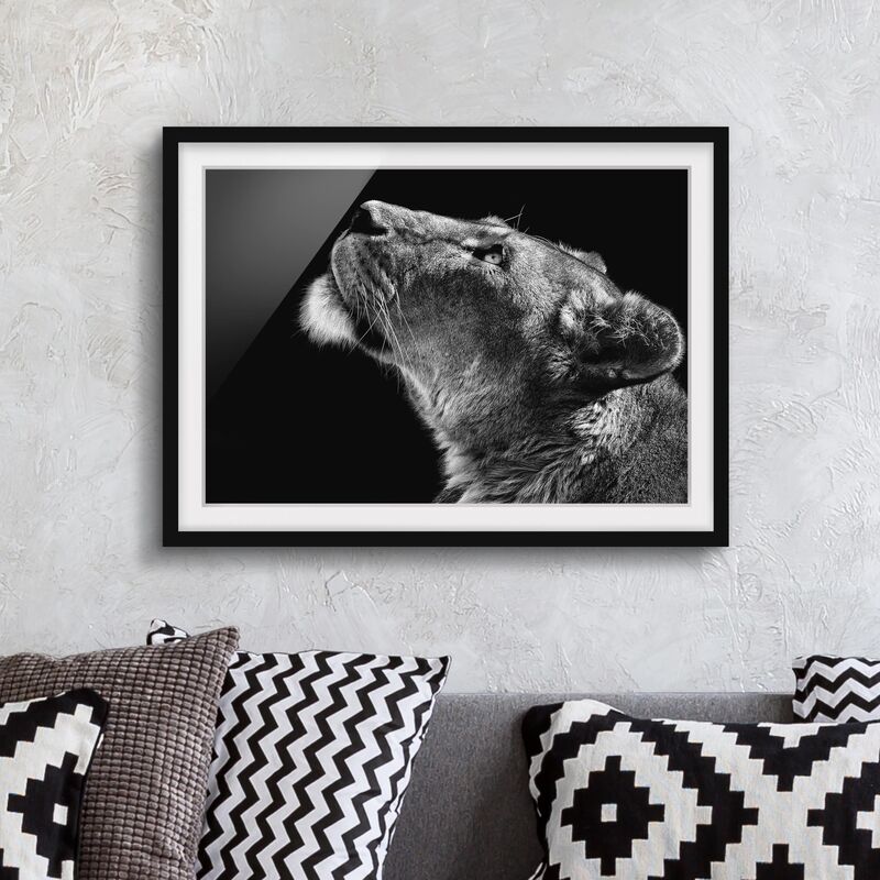 

Póster enmarcado - Ritratto di una leonessa Dimensión LxA: 70cm x 100cm, Marco: Negro