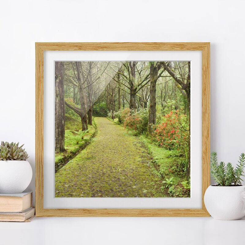 

Póster enmarcado - Road Clad In Moss Dimensión LxA: 70cm x 70cm, Marco: Roble