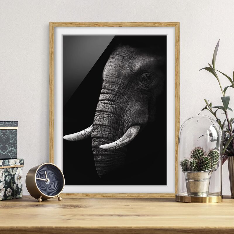 

Póster enmarcado - Scuro Elephant Portrait Dimensión LxA: 40cm x 30cm, Marco: Roble