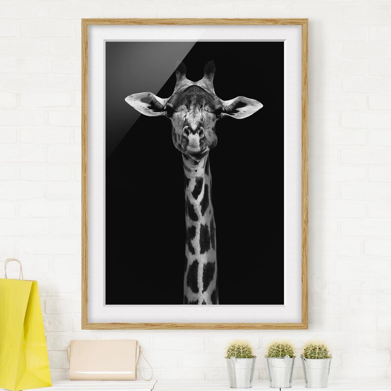 

Póster enmarcado - Scuro Ritratto della giraffa Dimensión LxA: 55cm x 40cm, Marco: Roble