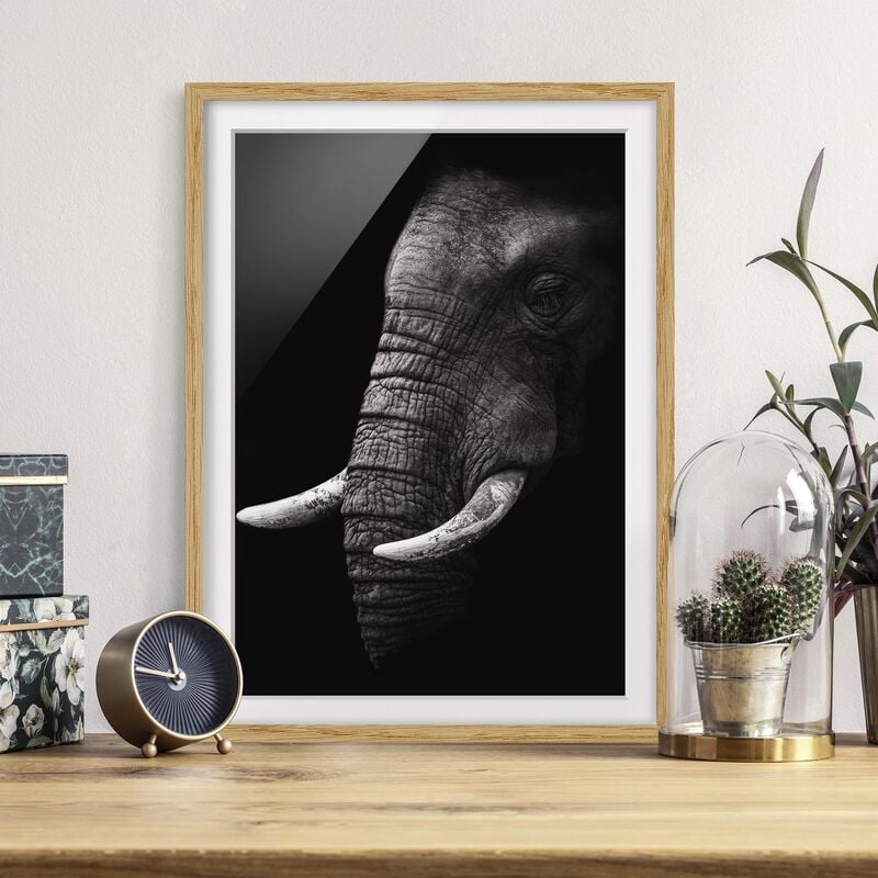 

Póster enmarcado - Scuro Elephant Portrait Dimensión LxA: 70cm x 50cm, Marco: Roble