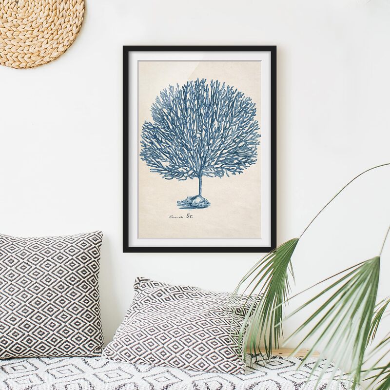 

Póster enmarcado - Sea Coralli Study I Dimensión LxA: 100cm x 70cm, Marco: Negro