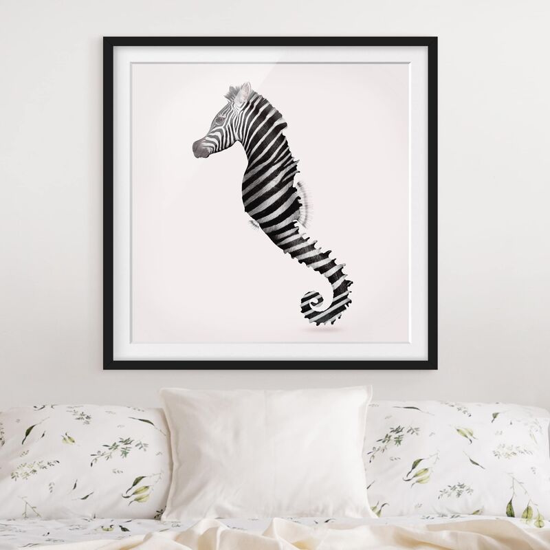 

Póster enmarcado - Seahorse Con Zebra Stripes Dimensión LxA: 70cm x 70cm, Marco: Negro