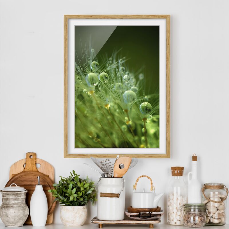 

Póster enmarcado - Semi verdi Sotto La Pioggia Dimensión LxA: 100cm x 70cm, Marco: Roble