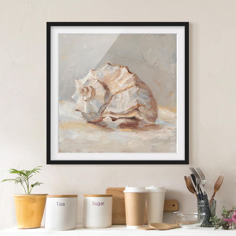 

Póster enmarcado - Shell Study II Dimensión LxA: 70cm x 70cm, Marco: Negro