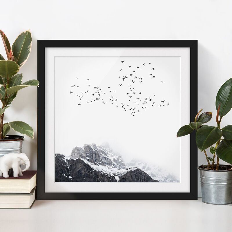 

Póster enmarcado - Stormo di uccelli davanti a montagne bianco e nero Dimensión LxA: 30cm x 30cm, Marco: Negro