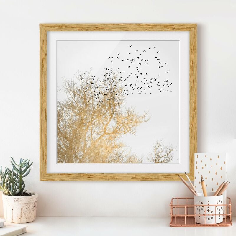 

Póster enmarcado - Stormo di uccelli davanti ad un albero dorato Dimensión LxA: 30cm x 30cm, Marco: Roble