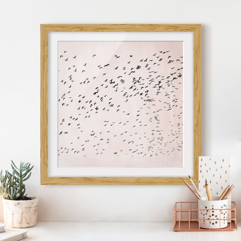 

Póster enmarcado - Stormo di uccelli al tramonto Dimensión LxA: 30cm x 30cm, Marco: Roble